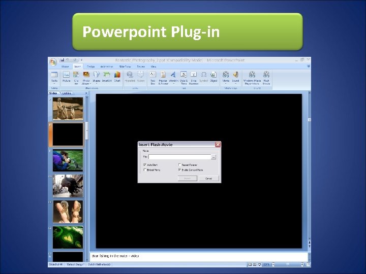 Powerpoint Plug-in Powerpoint Plug-in