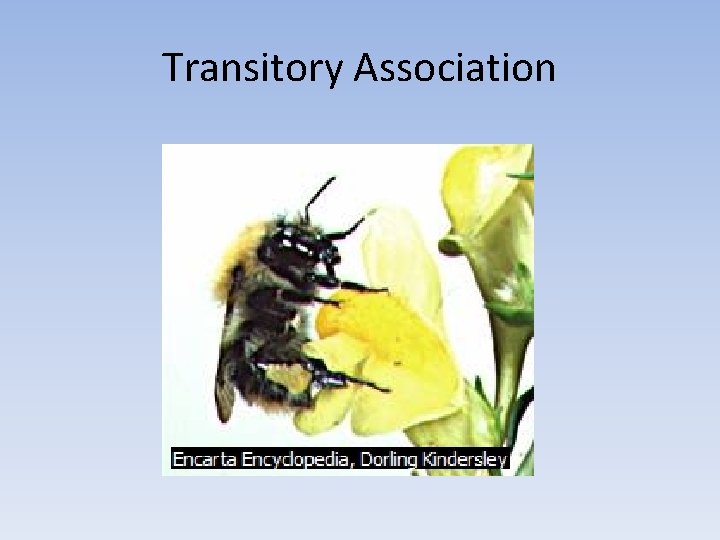 Transitory Association 