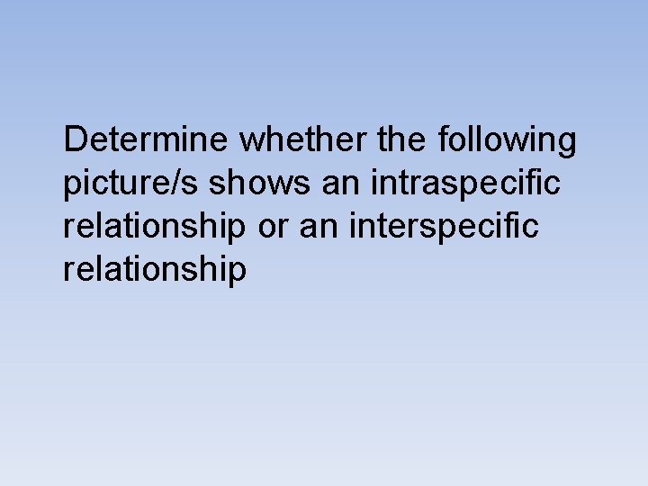 Determine whether the following picture/s shows an intraspecific relationship or an interspecific relationship 