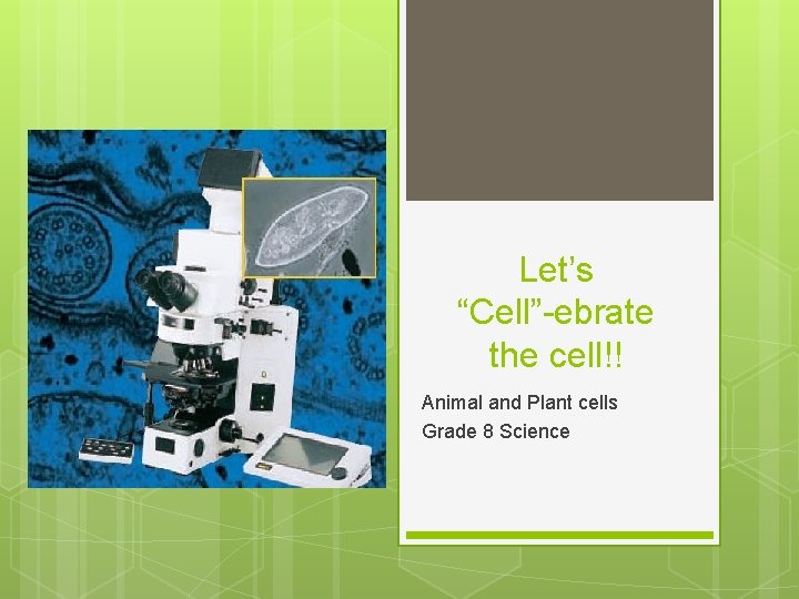 Let’s “Cell”-ebrate the cell!! Animal and Plant cells Grade 8 Science 