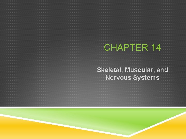 CHAPTER 14 Skeletal, Muscular, and Nervous Systems 