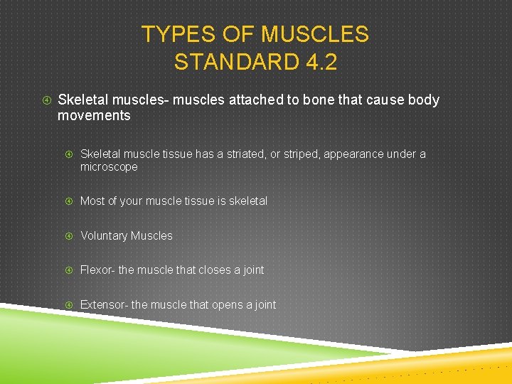 TYPES OF MUSCLES STANDARD 4. 2 Skeletal muscles- muscles attached to bone that cause