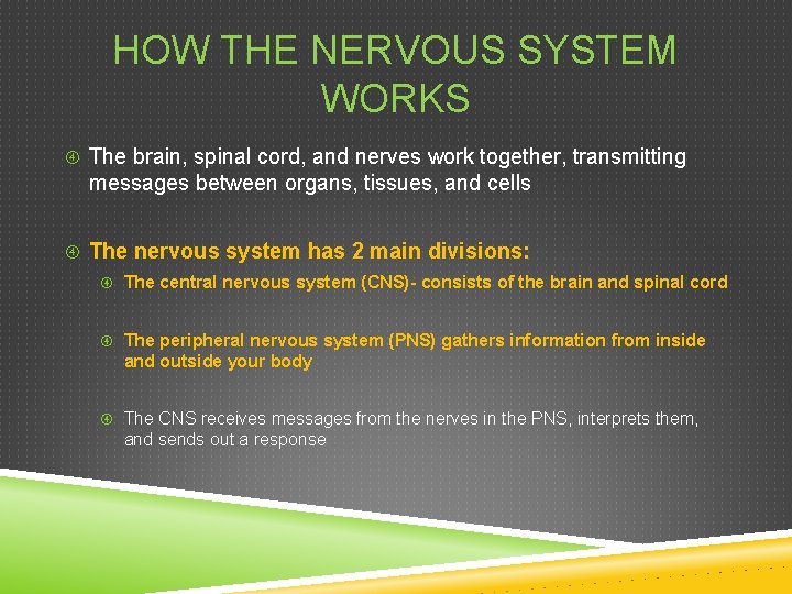 HOW THE NERVOUS SYSTEM WORKS The brain, spinal cord, and nerves work together, transmitting