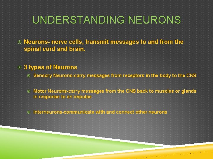 UNDERSTANDING NEURONS Neurons- nerve cells, transmit messages to and from the spinal cord and