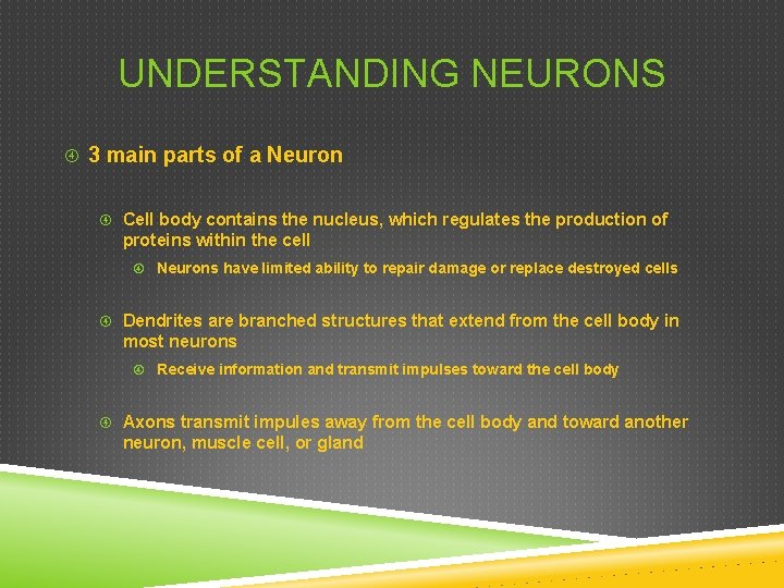 UNDERSTANDING NEURONS 3 main parts of a Neuron Cell body contains the nucleus, which