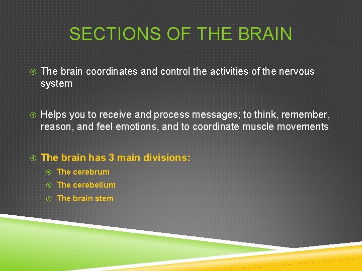 SECTIONS OF THE BRAIN The brain coordinates and control the activities of the nervous