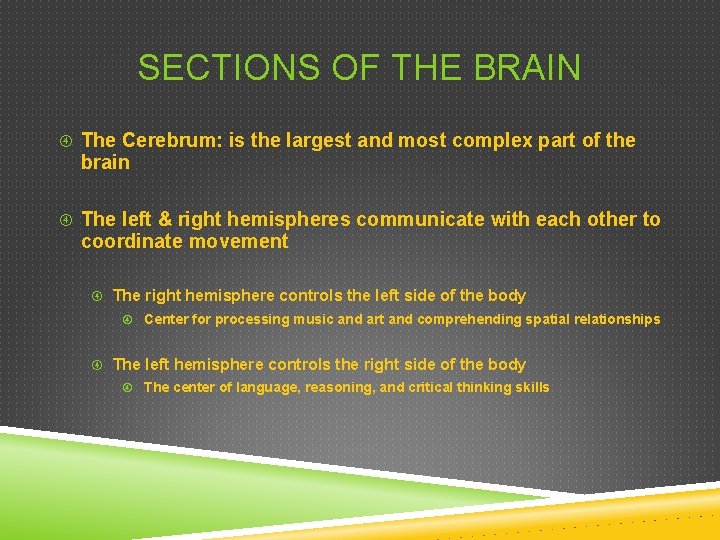 SECTIONS OF THE BRAIN The Cerebrum: is the largest and most complex part of