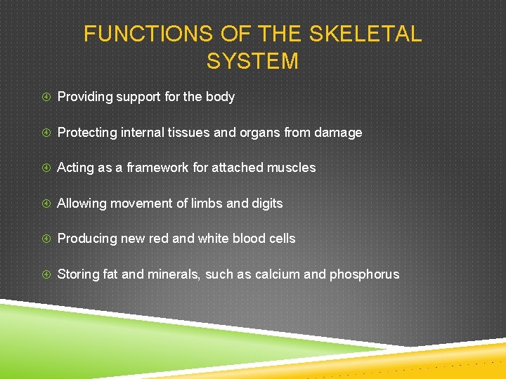 FUNCTIONS OF THE SKELETAL SYSTEM Providing support for the body Protecting internal tissues and