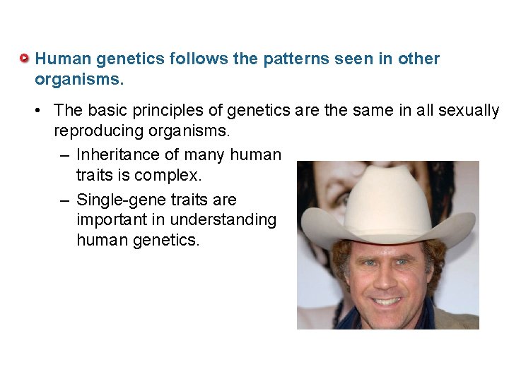Human genetics follows the patterns seen in other organisms. • The basic principles of