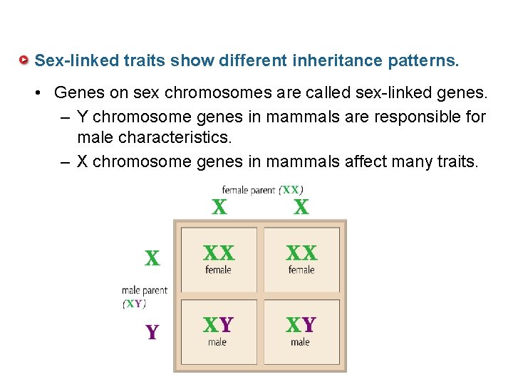 Sex-linked traits show different inheritance patterns. • Genes on sex chromosomes are called sex-linked