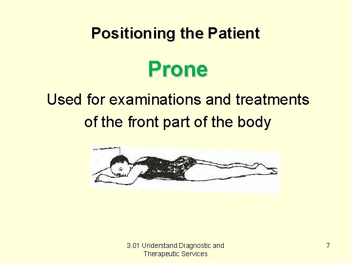 Positioning the Patient Prone Used for examinations and treatments of the front part of
