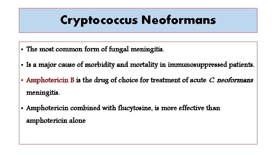 Cryptococcus Neoformans • The most common form of fungal meningitis. • Is a major