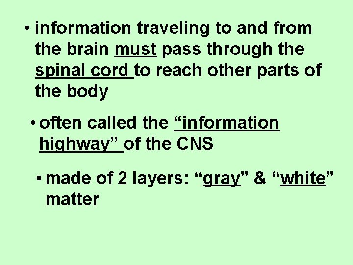  • information traveling to and from the brain must pass through the spinal