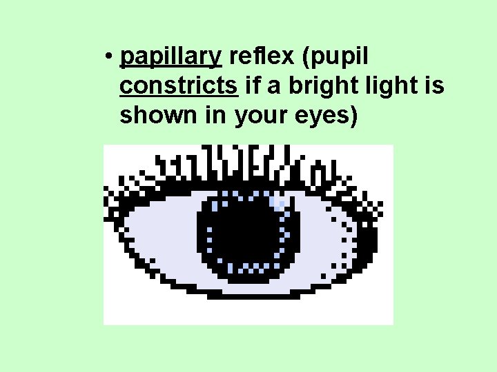  • papillary reflex (pupil constricts if a bright light is shown in your