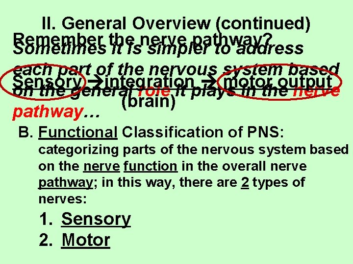 II. General Overview (continued) Remember the nerve pathway? Sometimes it is simpler to address