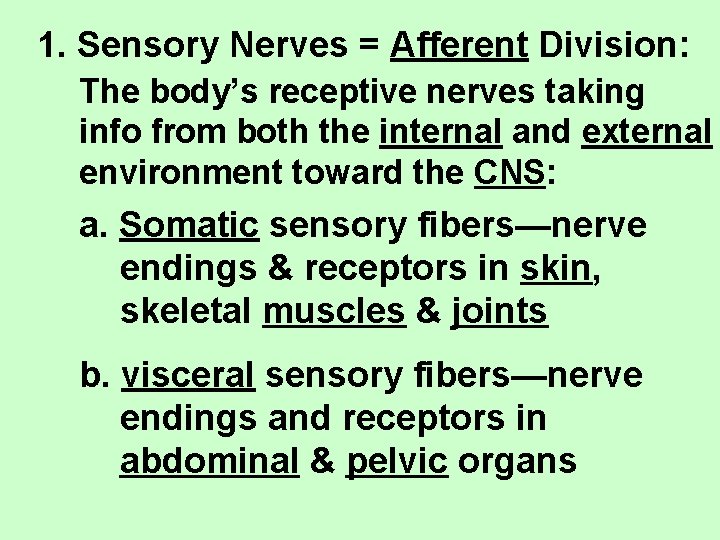 1. Sensory Nerves = Afferent Division: The body’s receptive nerves taking info from both