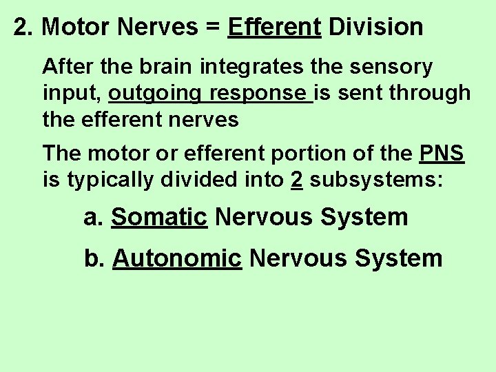 2. Motor Nerves = Efferent Division After the brain integrates the sensory input, outgoing