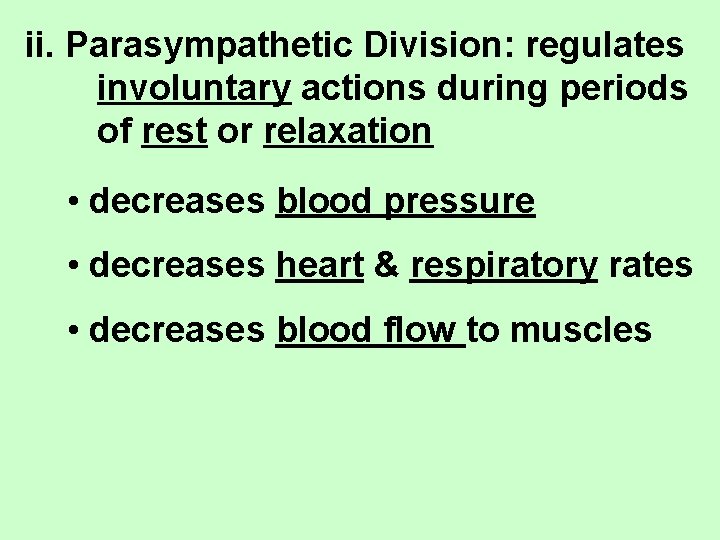 ii. Parasympathetic Division: regulates involuntary actions during periods of rest or relaxation • decreases