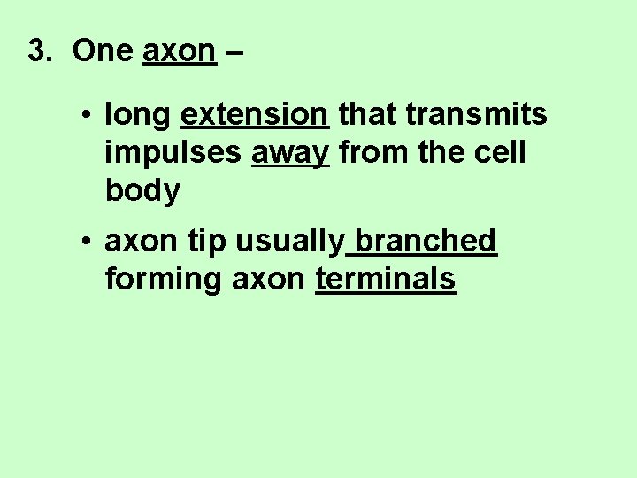 3. One axon – • long extension that transmits impulses away from the cell