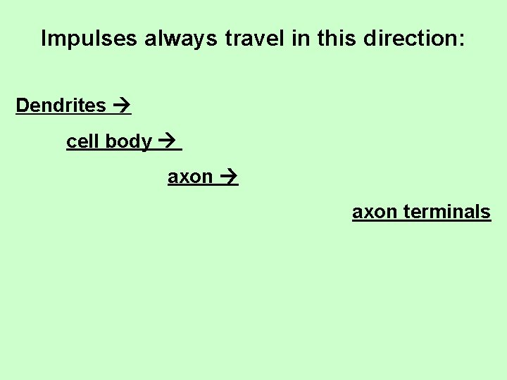 Impulses always travel in this direction: Dendrites cell body axon terminals 