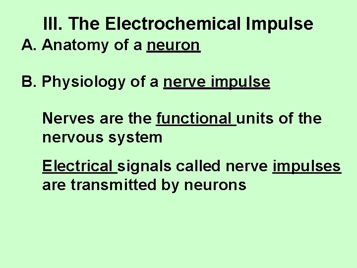 III. The Electrochemical Impulse A. Anatomy of a neuron B. Physiology of a nerve