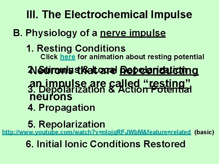 III. The Electrochemical Impulse B. Physiology of a nerve impulse 1. Resting Conditions Click