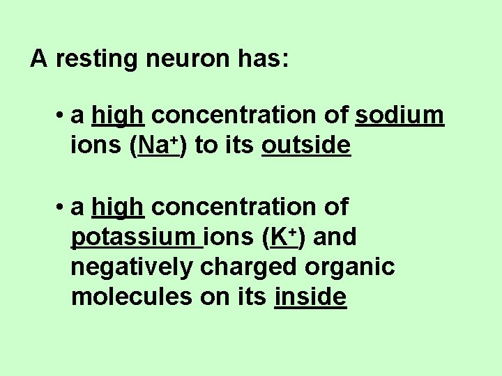 A resting neuron has: • a high concentration of sodium ions (Na+) to its