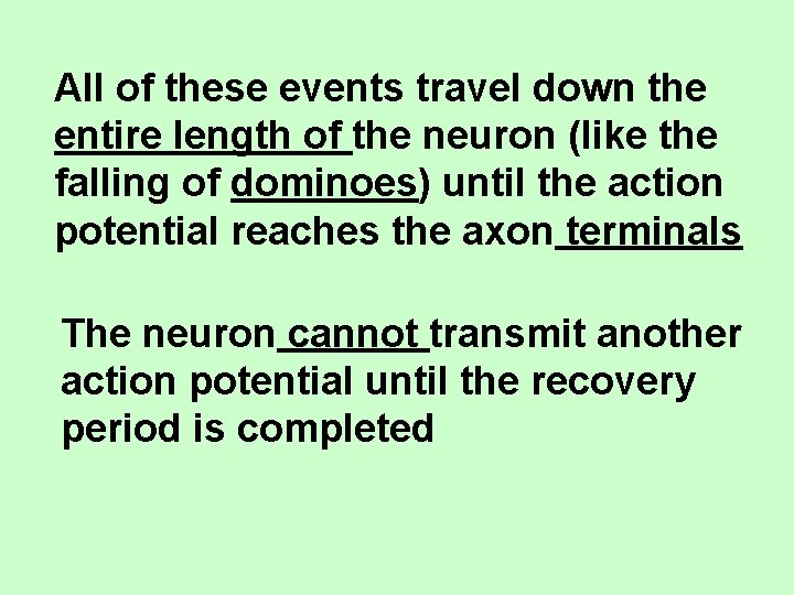 All of these events travel down the entire length of the neuron (like the