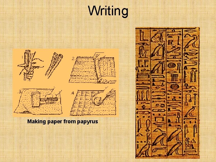Writing Making paper from papyrus 