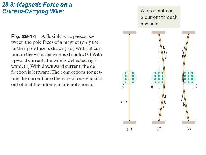 28. 8: Magnetic Force on a Current-Carrying Wire: 