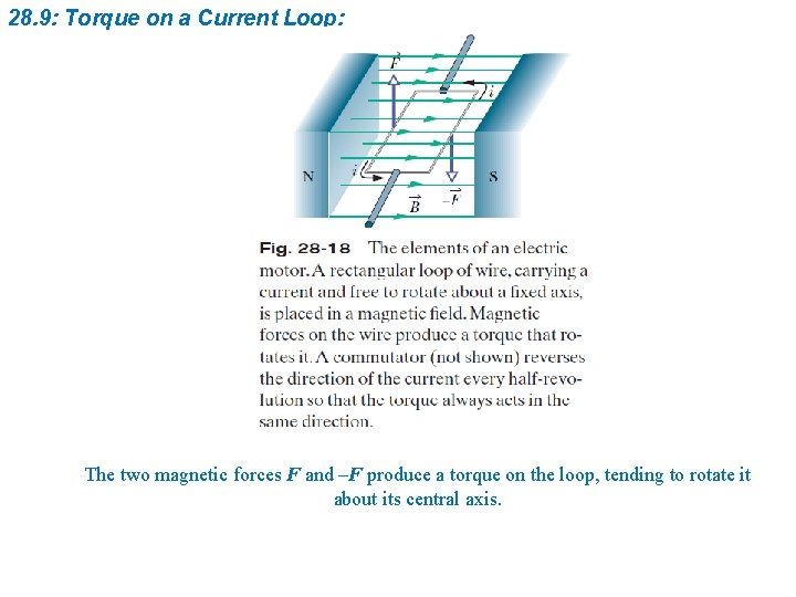 28. 9: Torque on a Current Loop: The two magnetic forces F and –F