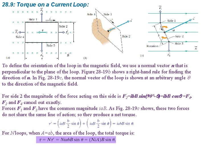 28. 9: Torque on a Current Loop: To define the orientation of the loop