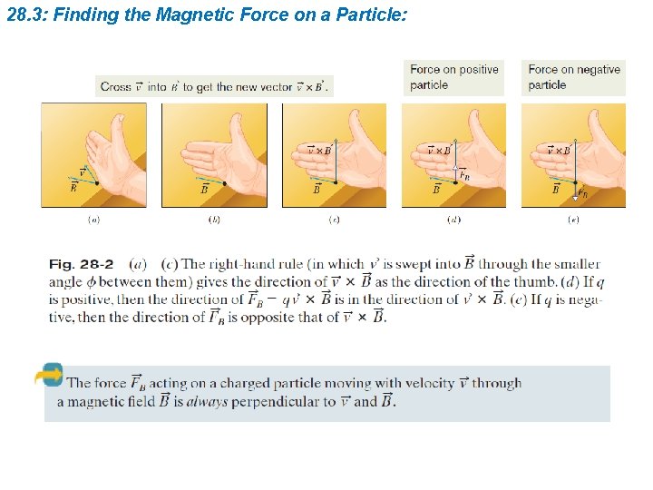 28. 3: Finding the Magnetic Force on a Particle: 