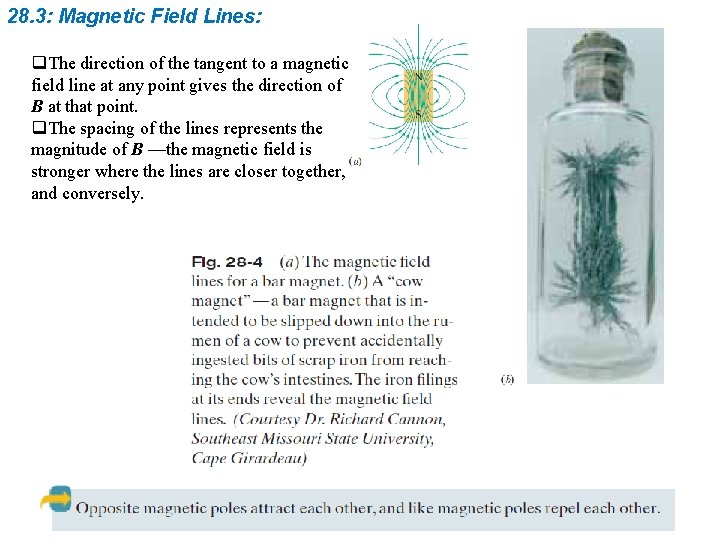 28. 3: Magnetic Field Lines: q. The direction of the tangent to a magnetic