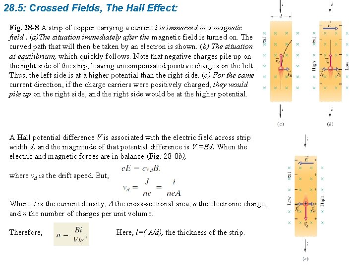 28. 5: Crossed Fields, The Hall Effect: Fig. 28 -8 A strip of copper