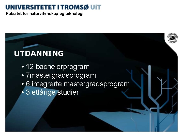 Fakultet for naturvitenskap og teknologi UTDANNING • 12 bachelorprogram • 7 mastergradsprogram • 6