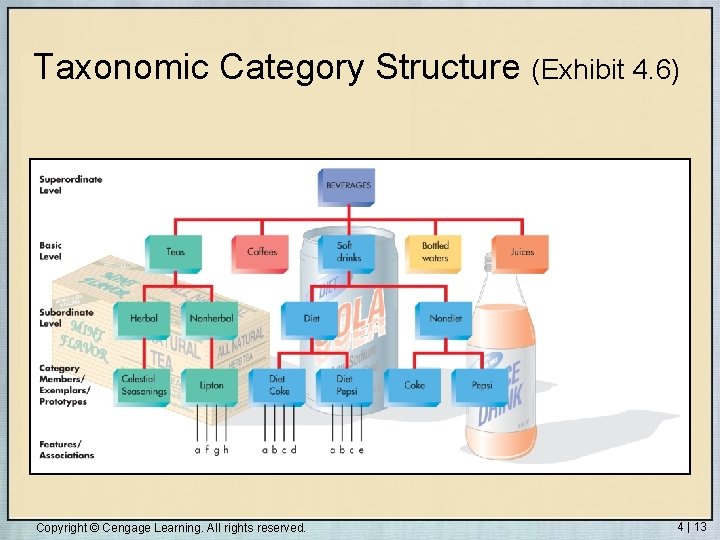 Taxonomic Category Structure (Exhibit 4. 6) Copyright © Cengage Learning. All rights reserved. 4