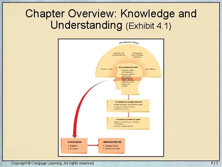 Chapter Overview: Knowledge and Understanding (Exhibit 4. 1) Copyright © Cengage Learning. All rights