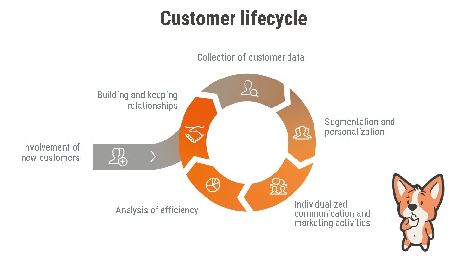 Customer lifecycle Collection of customer data Building and keeping relationships Segmentation and personalization Involvement