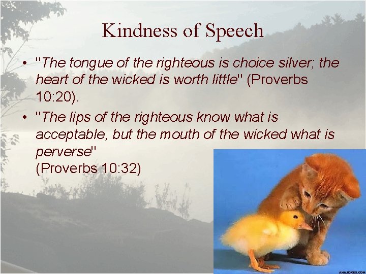 Kindness of Speech • "The tongue of the righteous is choice silver; the heart