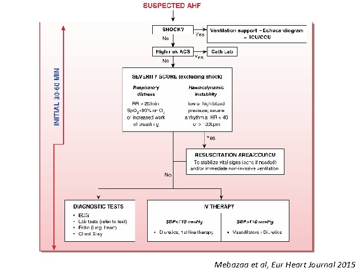 Mebazaa et al, Eur Heart Journal 2015 