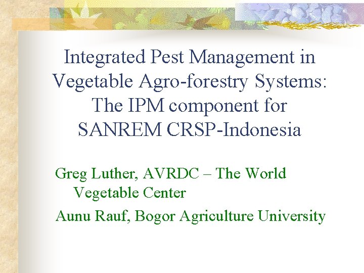 Integrated Pest Management in Vegetable Agro-forestry Systems: The IPM component for SANREM CRSP-Indonesia Greg