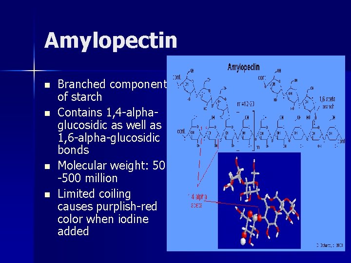 Amylopectin n n Branched component of starch Contains 1, 4 -alphaglucosidic as well as