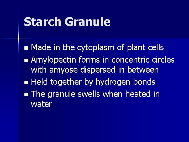 Starch Granule Made in the cytoplasm of plant cells n Amylopectin forms in concentric