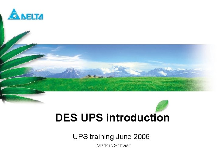 DES UPS introduction UPS training June 2006 Markus Schwab Delta Confidential 