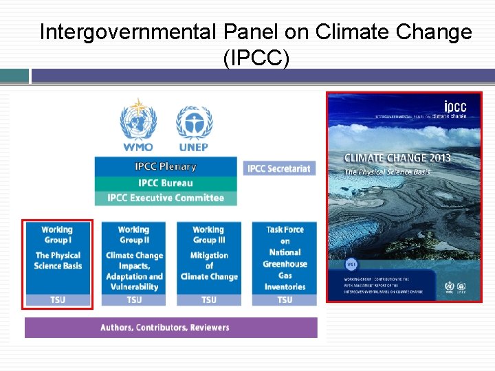 Intergovernmental Panel on Climate Change (IPCC) 