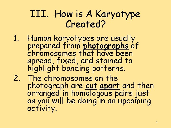 III. How is A Karyotype Created? 1. Human karyotypes are usually prepared from photographs