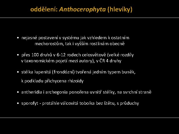 oddělení: Anthocerophyta (hlevíky) • nejasné postavení v systému jak vzhledem k ostatním mechorostům, tak
