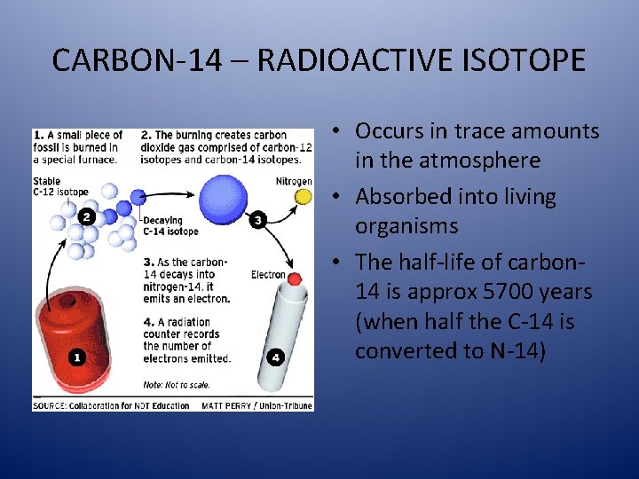 CARBON-14 – RADIOACTIVE ISOTOPE • Occurs in trace amounts in the atmosphere • Absorbed