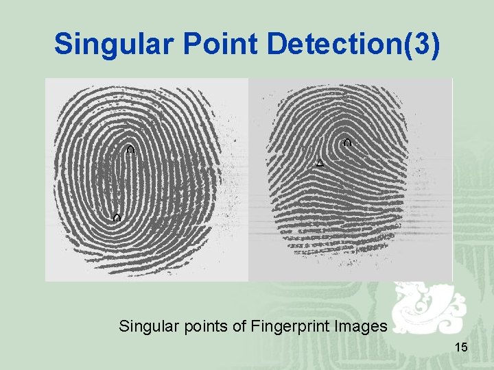 Singular Point Detection(3) Singular points of Fingerprint Images 15 Singular Point Detection(3) Singular points of Fingerprint Images 15